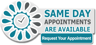 same day appointments button